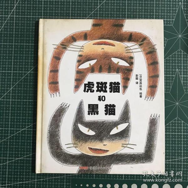 虎斑猫和黑猫