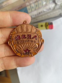 人民英雄 华东野战军奖章（工艺品，铁质，学习研究使用）