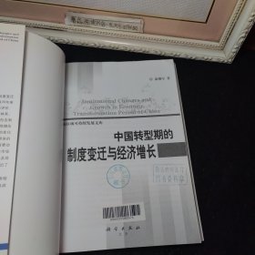 中国转型期的制度变迁与经济增长