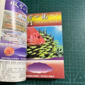 微型小说选刊2008.17-24（8册合售）