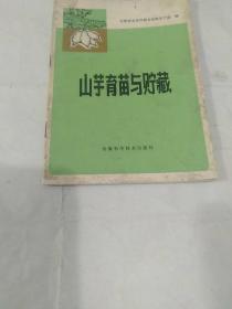 山芋育苗与储藏