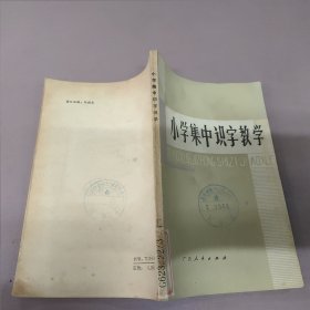 小学集中识字教学