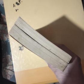 中国新文学史初稿(上下册)