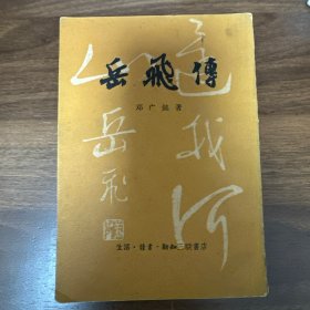 岳飞传