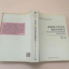 反对家庭暴力理论与实践丛书：家庭暴力防治法制度性建构研究