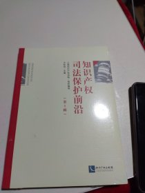 知识产权司法保护前沿（第I辑）