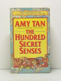 谭恩美《百种神秘情感》 The Hundred Secret Senses by Amy Tan（美国文学）英文原版书