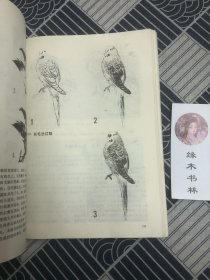 中国写意花鸟画技法