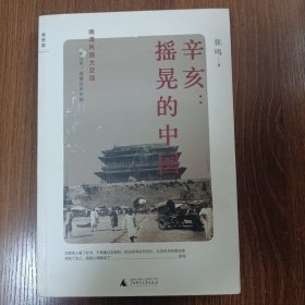 辛亥：摇晃的中国