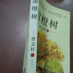 儿童文学名家名作美绘本：甜橙树（注音版）