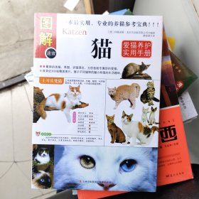 猫：爱猫养护实用手册