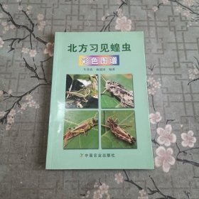 北方习见蝗虫彩色图谱