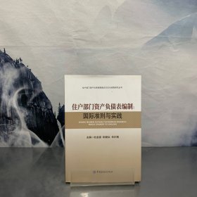 住户部门资产负债表编制：国际准则与实践