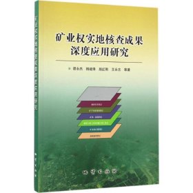 矿业权实地核查成果深度应用研究