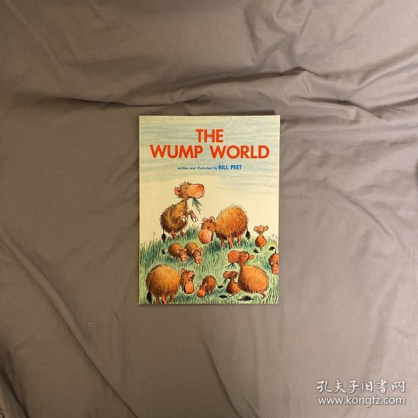 The Wump World