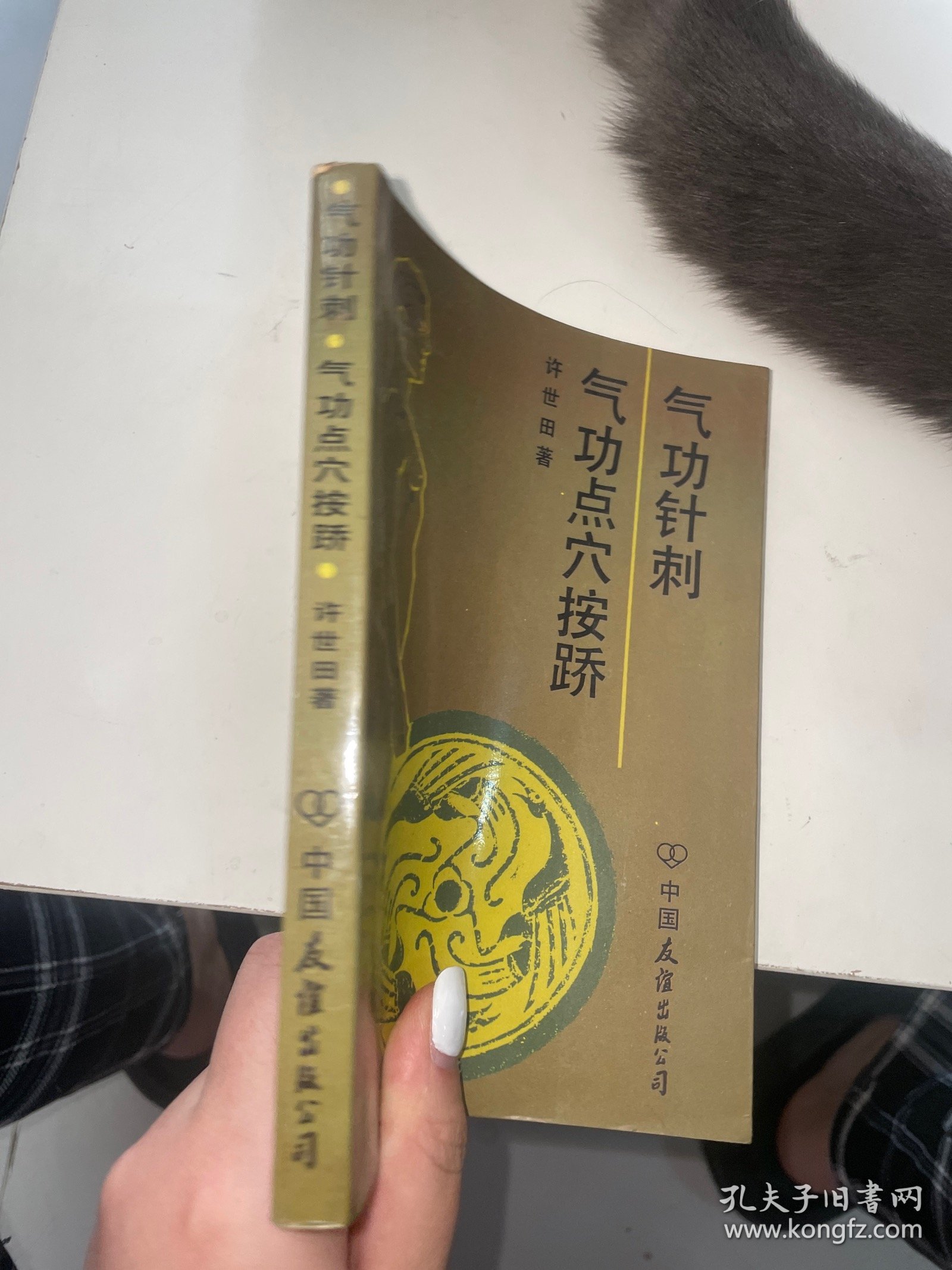 气功针刺 气功点穴按硚（书角有水印）