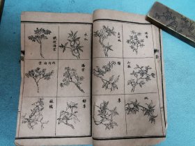 新辑绘图群芳花镜秘书，光绪甲辰上海书局石印本，巾箱小本六册全