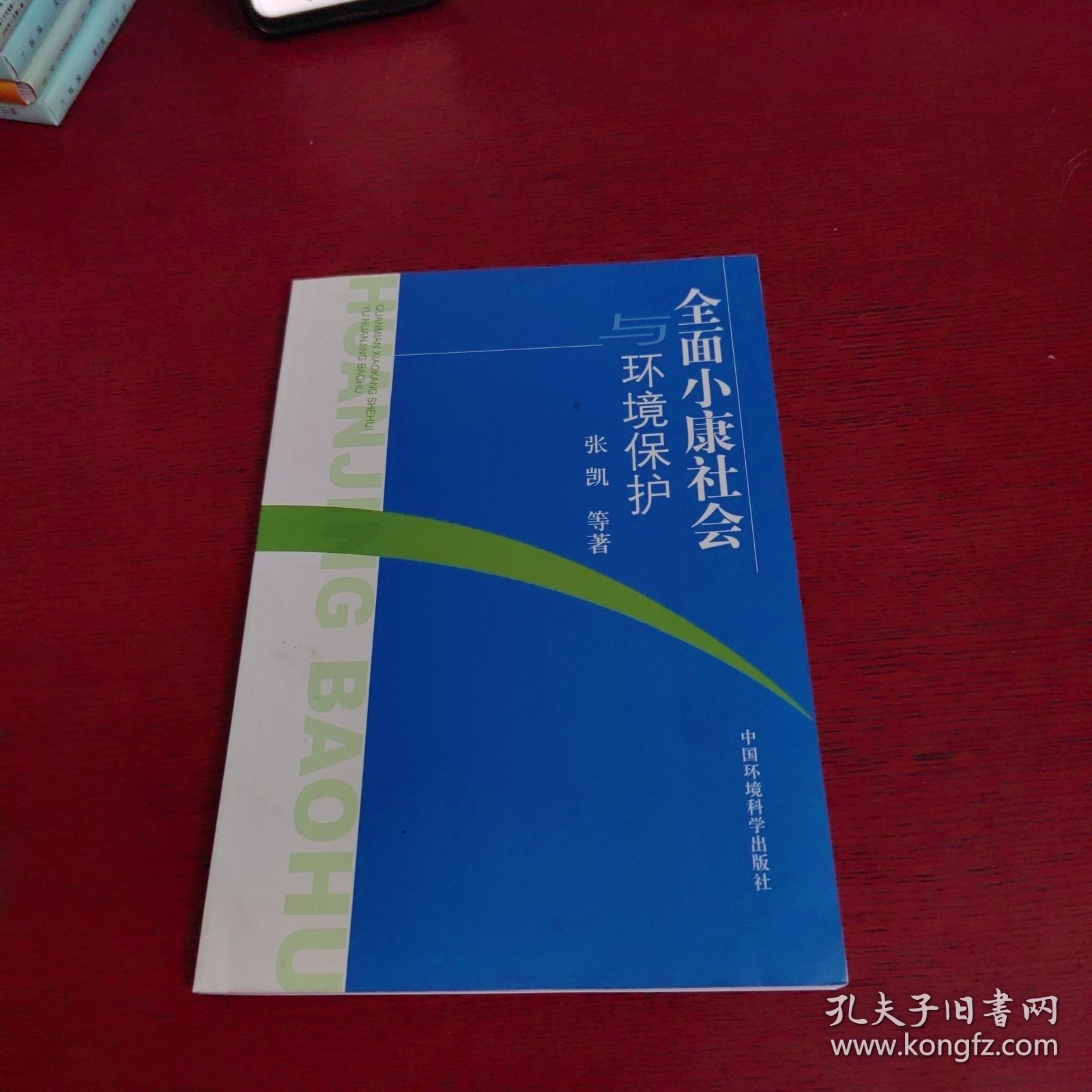 全面小康社会与环境保护【内页干净 实物拍摄】