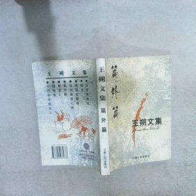 王朔文集：篇外篇