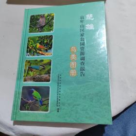 楚雄哀牢山国家公园资源调查报告-鸟类图册