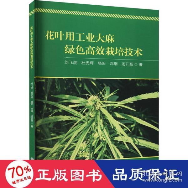 花叶用工业绿色高效栽培技术