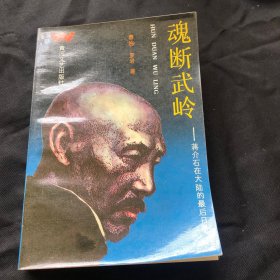 魂断武岭修订本，蒋介石在大陆的最后日子（1987年