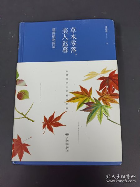 草木零落，美人迟暮：楚辞植物图鉴（精装）