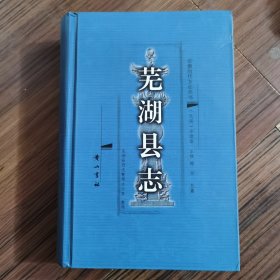 芜湖县志民国版。