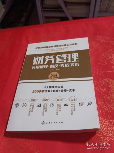 世界500强企业精细化管理工具系列--财务管理实用流程·制度·表格·文本