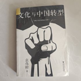 文化与中国转型