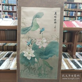 荷花
