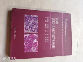 乳腺诊断病理学丛书：乳腺病理诊断和鉴别诊断〈实物拍照品相如图）