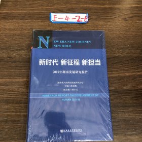 新时代新征程新担当——2019年湖南发展研究报告