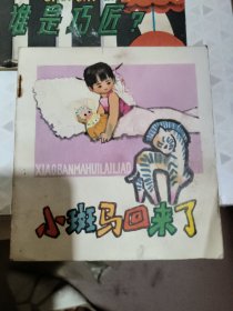 小班馬回來了