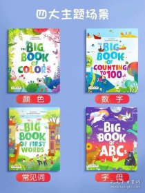 英文原版 The Big Book of colours,first words, ABC,counting 唯美认知大书 4大主题册 颜色单词字母数字 孩子的色彩启蒙全书