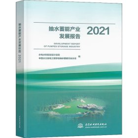 抽水蓄能产业发展报告2021