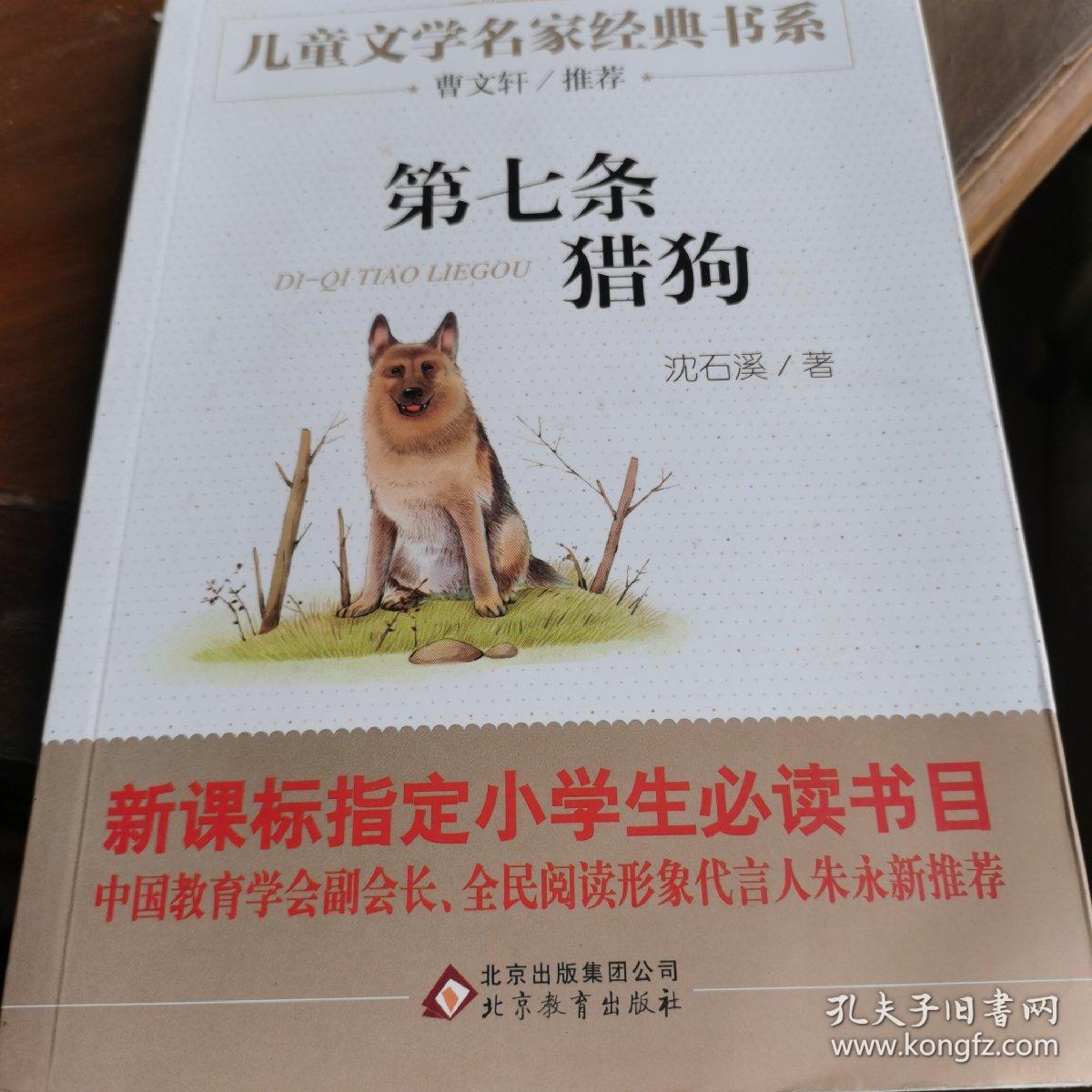 曹文轩推荐儿童文学经典书系 第七条猎狗