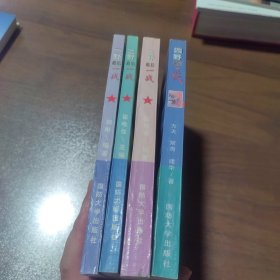 一野最后一战、二野最后一战、三野最后一战、四野最后一战（4册合售）