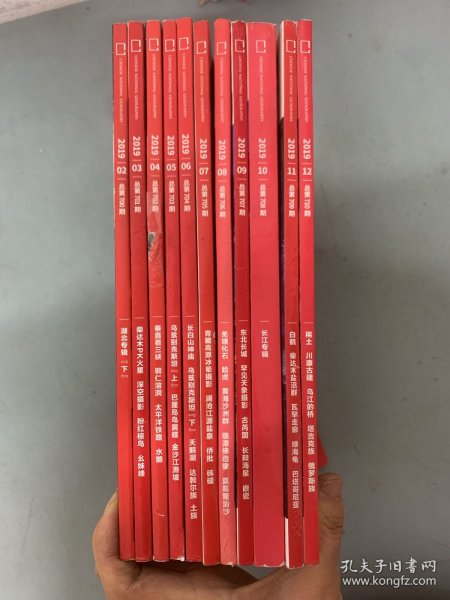 中国国家地理 2019年 月刊 全年1-12期（2、3、4、5、6、7、8、9、10、11、12缺第1期）总第700-710期 长江专辑、湖北专辑共11本合售 杂志