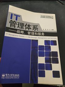 IT管理体系：战略、管理和服务