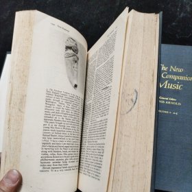 The New Oxford Companion to Music（新牛津音乐指南）上下（全2册）