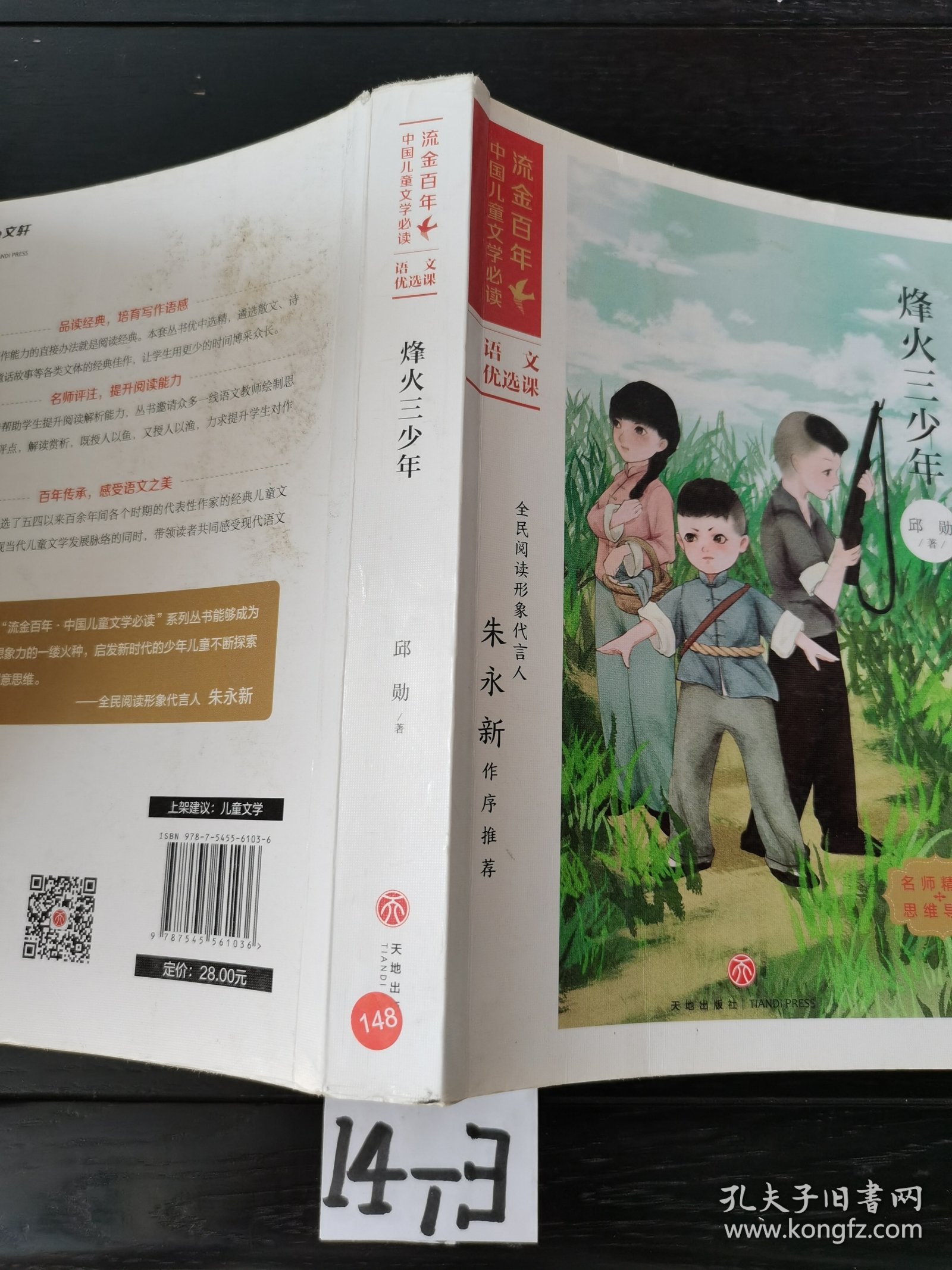 烽火三少年/流金百年中国儿童文学必读