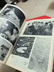 1981年上海美术年刊