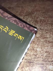 中国藏医药文献目录索引（1907-2001）/藏医药研究丛书   开本16开  书角磨损