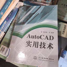 AutoCAD实用技术