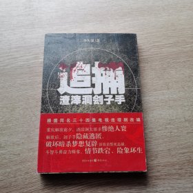 追捕渣滓洞刽子手（《红岩》小说的B面：公安战士和潜伏的刽子手之间追捕与反追捕的曲折故事）