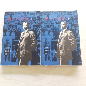 第一个总统 （上中）