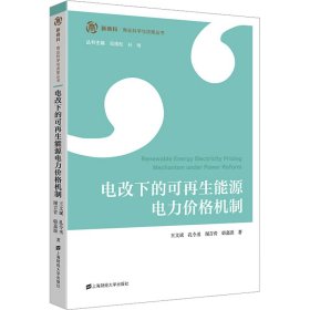 电改下的可再生能源电力价格机制