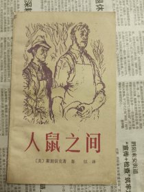 人鼠之间