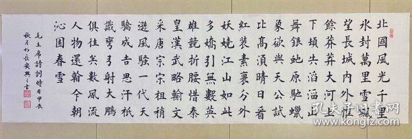 小楷书法，沁园春雪，北国风光，千里冰封，万里雪飘，真人真迹纯手绘作品，假一赔万，终身保真，您放心入手，陕西省书协会员马茂兴老师，笔墨浓淡干湿焦，字体苍劲有力，行云流水。尺寸：1.8米×50公分，六尺对开的，家里客厅，卧室，书房，茶室，办公室，大厅都可悬挂，大气，粗缯大布裹生涯，富有诗书气自华。